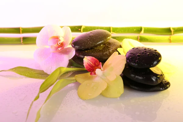 Piedras de spa con orquídea y bambú sobre fondo claro — Foto de Stock