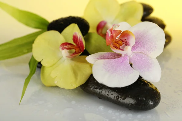 Pedras de spa com orquídea em fundo claro — Fotografia de Stock
