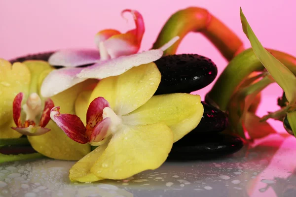 Pedras de spa com orquídea e bambu no fundo claro — Fotografia de Stock