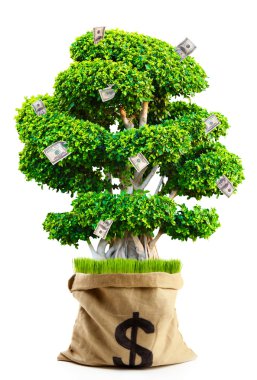 Dolar üzerinde beyaz izole işareti olan çantada para ağacı