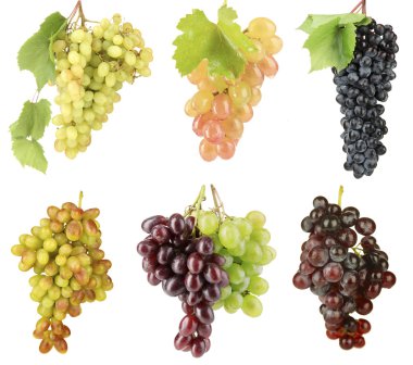 Beyaz izole Olgun tatlı üzüm çeşitleri