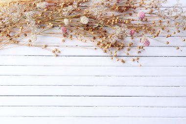 Dried flowers on planks