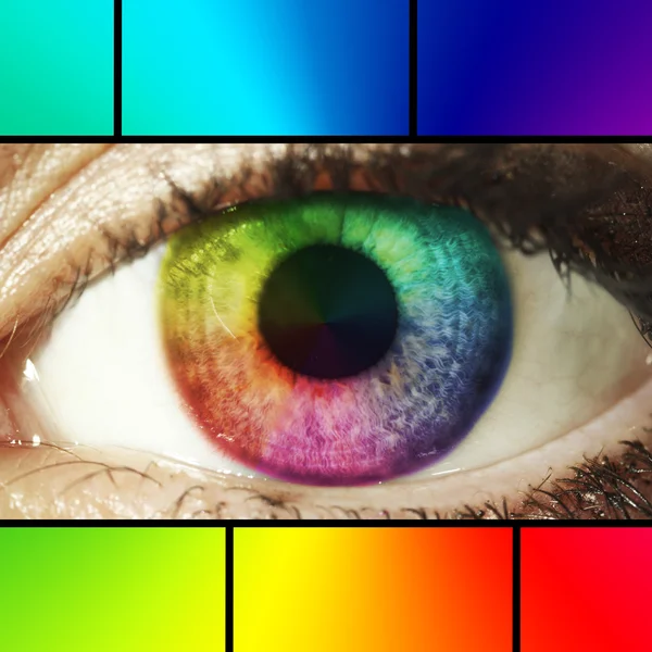 Collage of eye with color palette — Stock Photo, Image