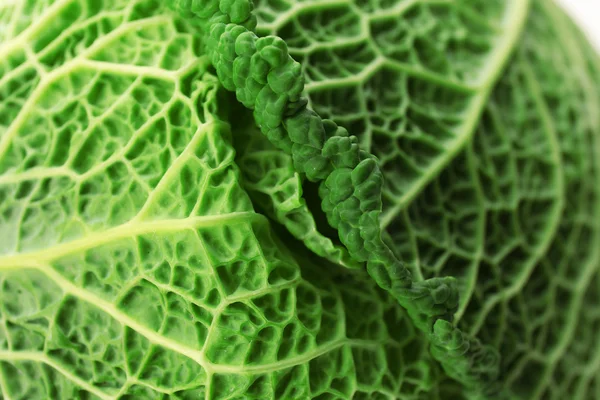 Savoy cabbage, macro view — Stock Photo, Image