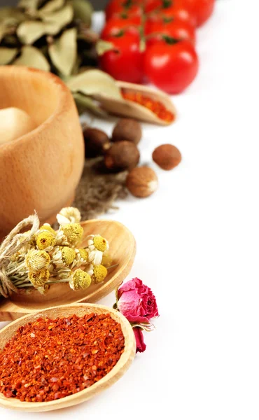 Different spices and herbs — Stock Photo, Image