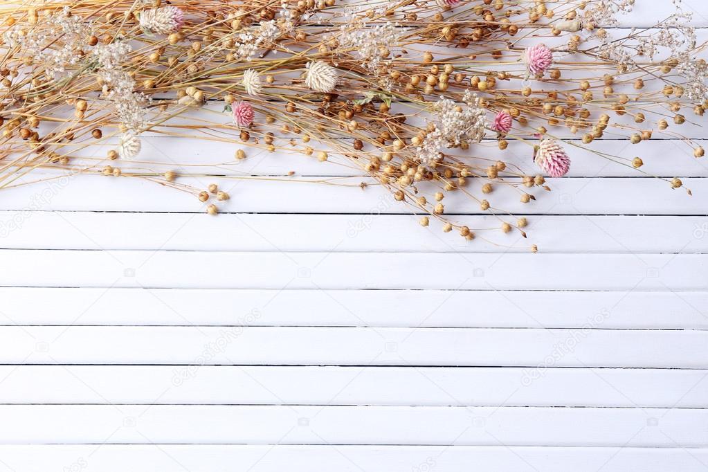 Dried flowers on planks