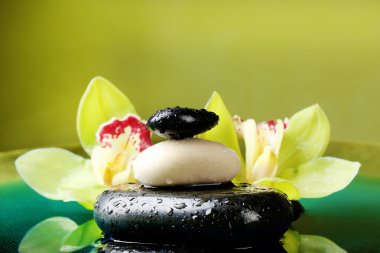 Buhar ve su yakın çekim güzel çiçek açan orkide Spa taşlarla