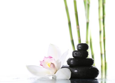 Islak parlak yüzeyi üzerinde beyaz izole natürmort Spa taşlar