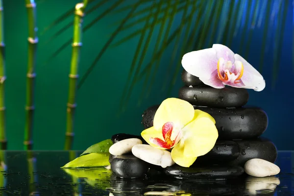 Orchideenblumen mit Wassertropfen und Kieselsteinen auf dunklem, buntem Hintergrund — Stockfoto