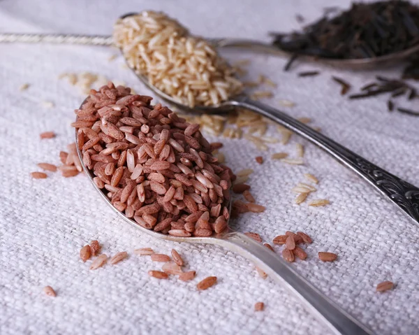 Diferentes tipos de arroz en cucharas sobre fondo de tela — Foto de Stock