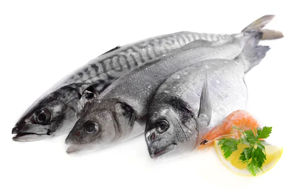 Frischer Fisch und andere Meeresfrüchte isoliert auf weiß — Stockfoto