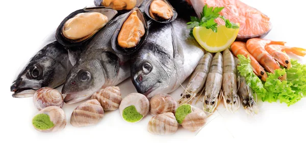 Peixes frescos e outros frutos do mar isolados a branco — Fotografia de Stock