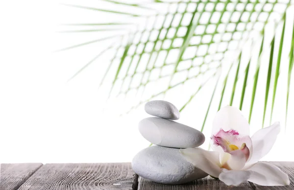 Still life of spa stones on wooden planks surface with palm leaf isolated on white — Stock Photo, Image