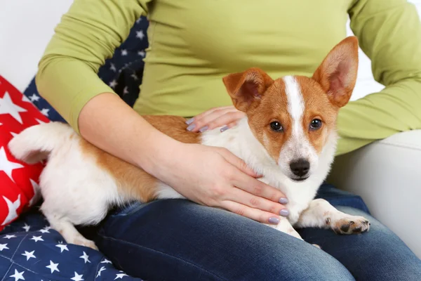 Femme assise sur un canapé avec un chien mignon, gros plan — Photo