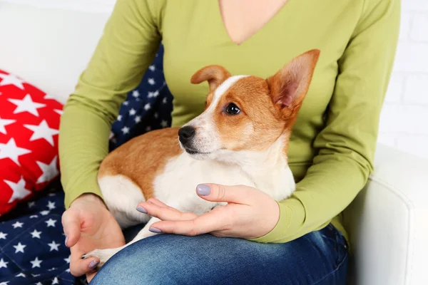 Woman sitting on sofa with cute dog, close-up — Stock Photo, Image
