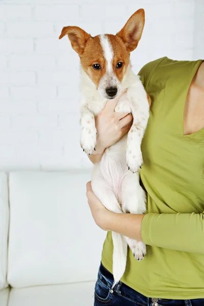 Woman with cute dog on light background — Stock Photo, Image