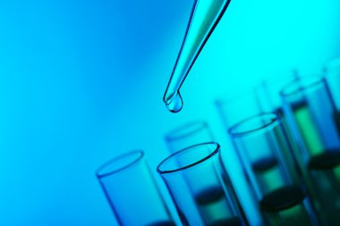 Sıvı test tüpleri yakın çekim birine ekleyerek pipet