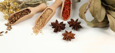 Farklı baharatlar ve otlar tahta kaşıklar üzerinde beyaz izole