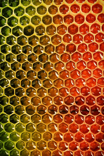 Fondo panal de abeja — Foto de Stock