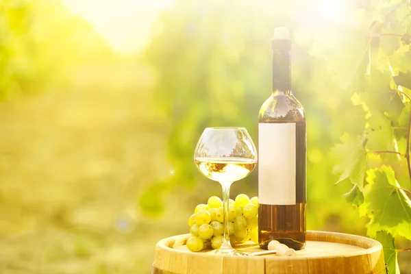 Tasty wine on wooden barrel on grape plantation background — Stock Photo, Image