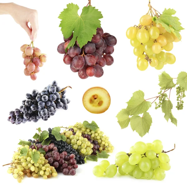 Assortment of ripe sweet grape isolated on white — Stock Photo, Image