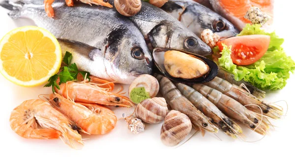 Frischer Fisch und andere Meeresfrüchte isoliert auf weiß — Stockfoto
