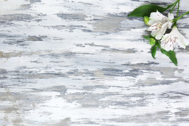 gri ahşap masaya güzel alstroemeria çiçek