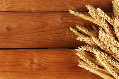 Spikelets ahşap arka plan üzerinde buğday