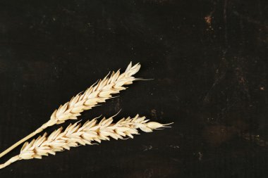 Siyah ahşap zemin üzerine buğday spikelets