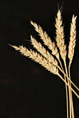 Siyah ahşap zemin üzerine buğday spikelets
