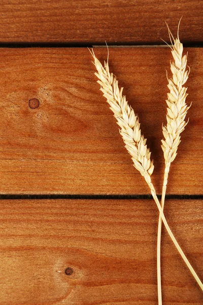 Espiguillas de trigo sobre fondo de madera — Foto de Stock