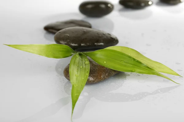 Spa stones with green lives isolated on white — Stock Photo, Image