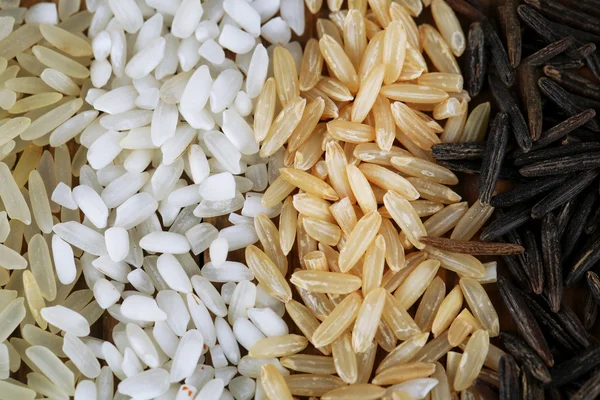 Verschiedene Reissorten hautnah — Stockfoto