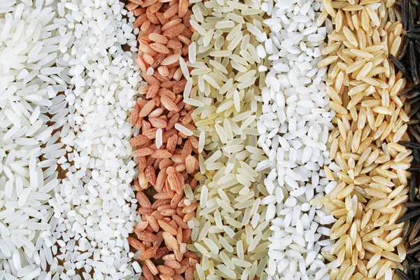 Different types of rice close up — Stock Photo, Image