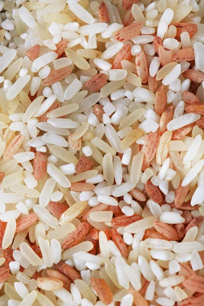 Rice grains close up — Stock Photo, Image