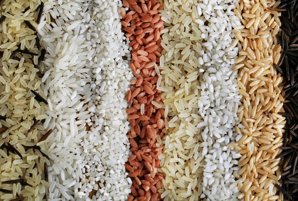 Distintos tipos de arroz de cerca — Foto de Stock