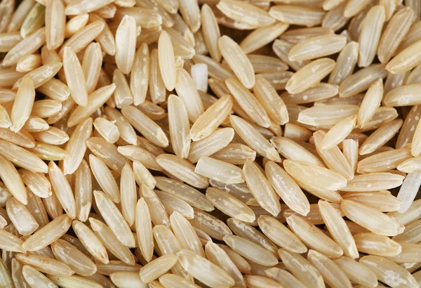 Grains de riz gros plan — Photo