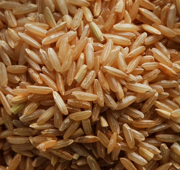 Рисові зерна на блідому крупним планом — стокове фото