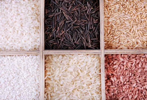 Různé typy rýže v dřevěné krabici — Stock fotografie