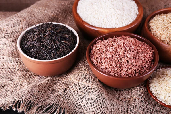 Different kinds of rice — Stock Photo, Image