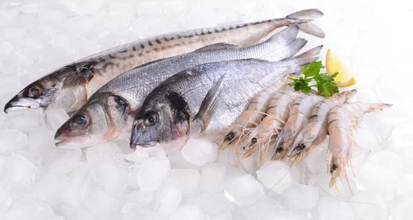 Fresh fish and seafood — Stock Photo, Image