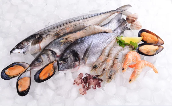 Свіжа риба та морепродукти — стокове фото