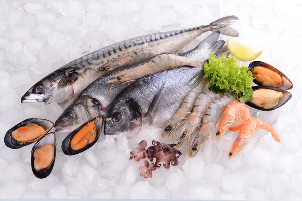 Fresh fish and seafood — Stock Photo, Image