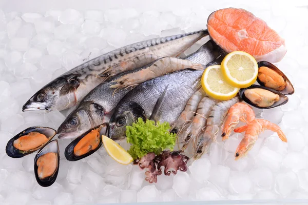 Fresh fish and seafood — Stock Photo, Image