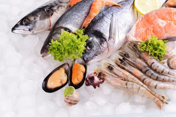 Fresh fish and seafood — Stock Photo, Image