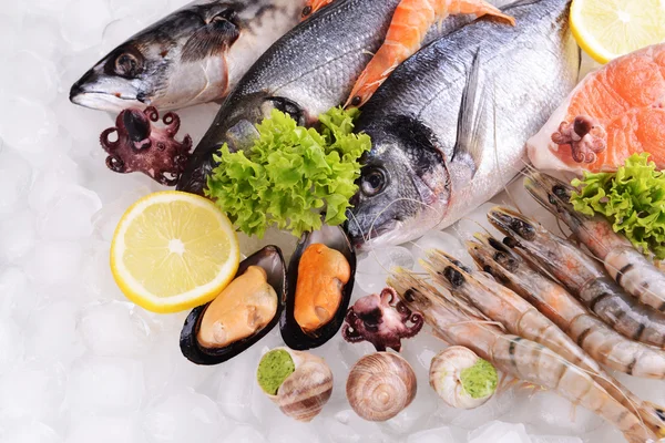 Fresh fish and seafood — Stock Photo, Image