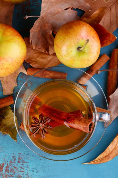 Samenstelling van appel cider met kaneelstokjes, verse appelen en Herfstbladeren op houten achtergrond — Stockfoto