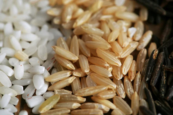 Διαφορετικά είδη ρυζιού σε κοντινό πλάνο — Φωτογραφία Αρχείου