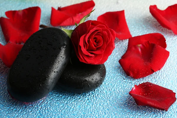 Spa stones and petals — Stock Photo, Image