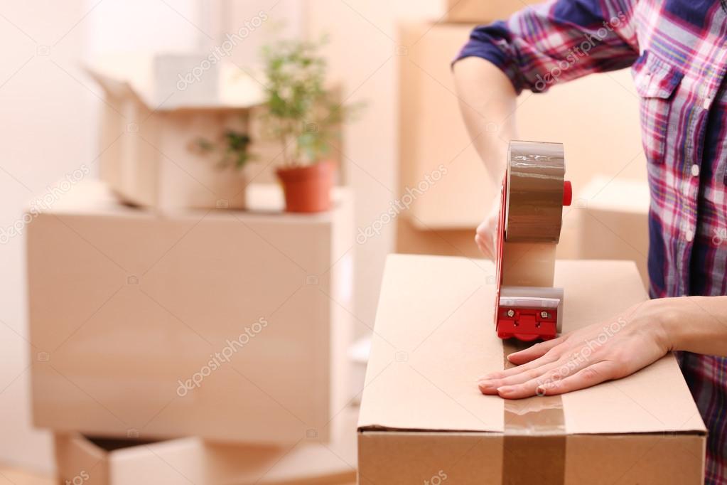 download packing boxes